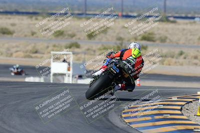 media/Feb-03-2024-SoCal Trackdays (Sat) [[767c60a41c]]/2-Turn 11 (10am)/